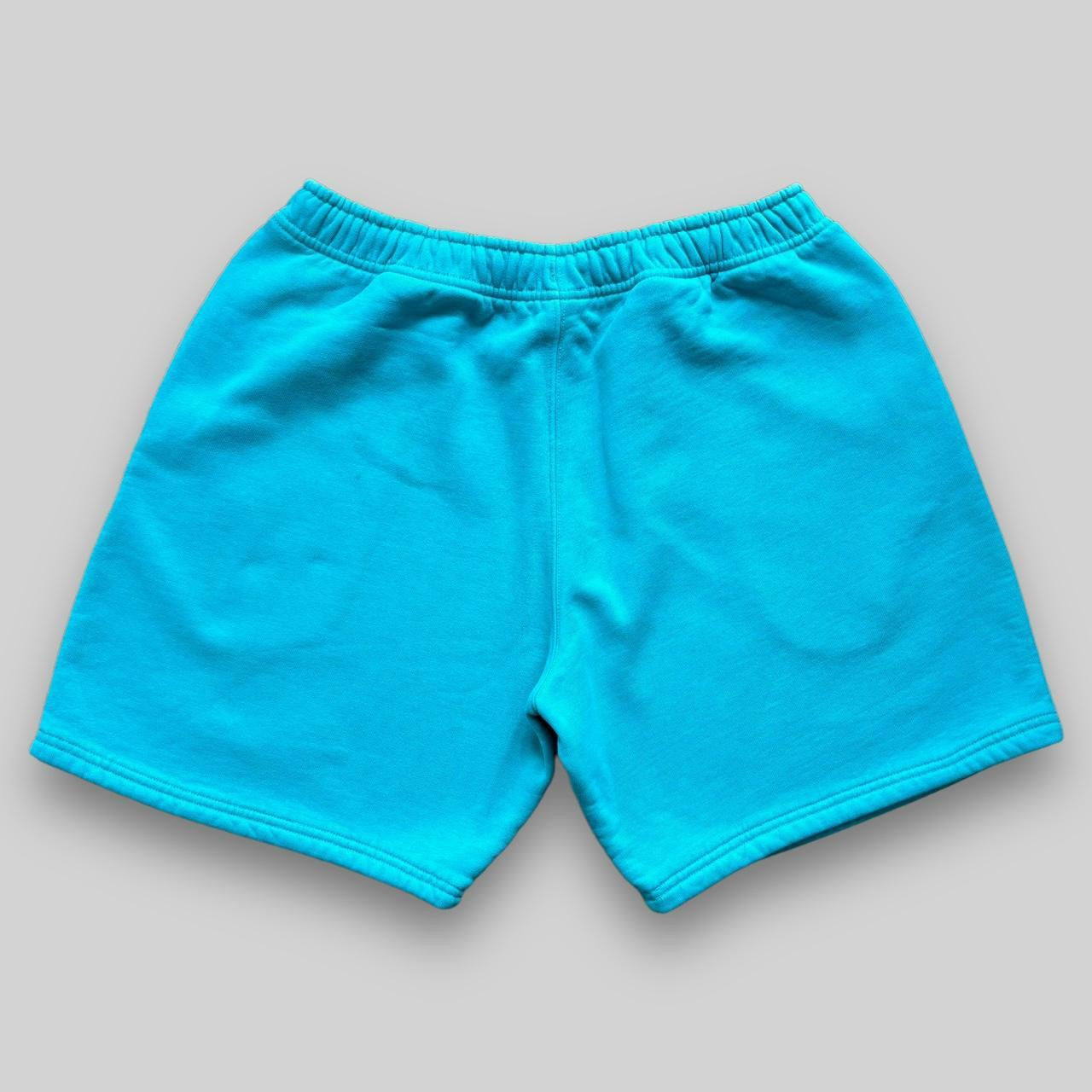 Nike NRG Single Swoosh Shorts (Medium)